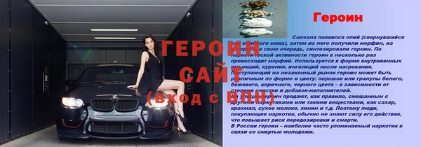 стаф Магадан