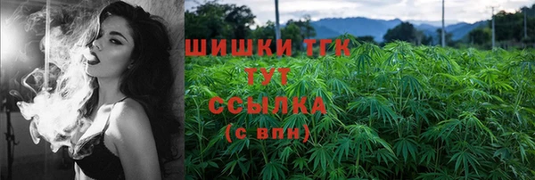 гашик Медногорск