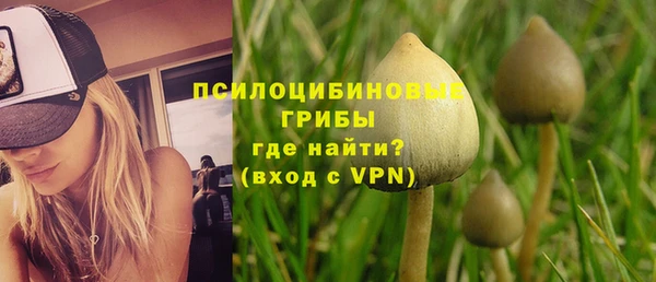 стаф Магадан